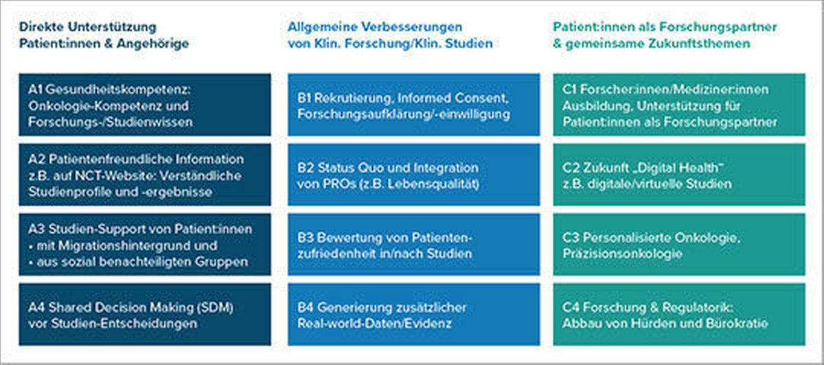 Abb. 1: 12 identifizierte Handlungsfelder für eine Patientenbeteiligung am NCT.